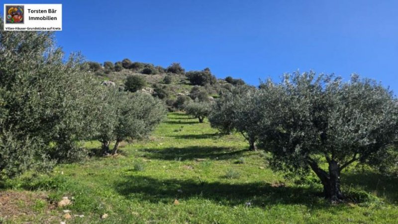 Kouses Baugrundstück in Kouses, Kreta Grundstück kaufen